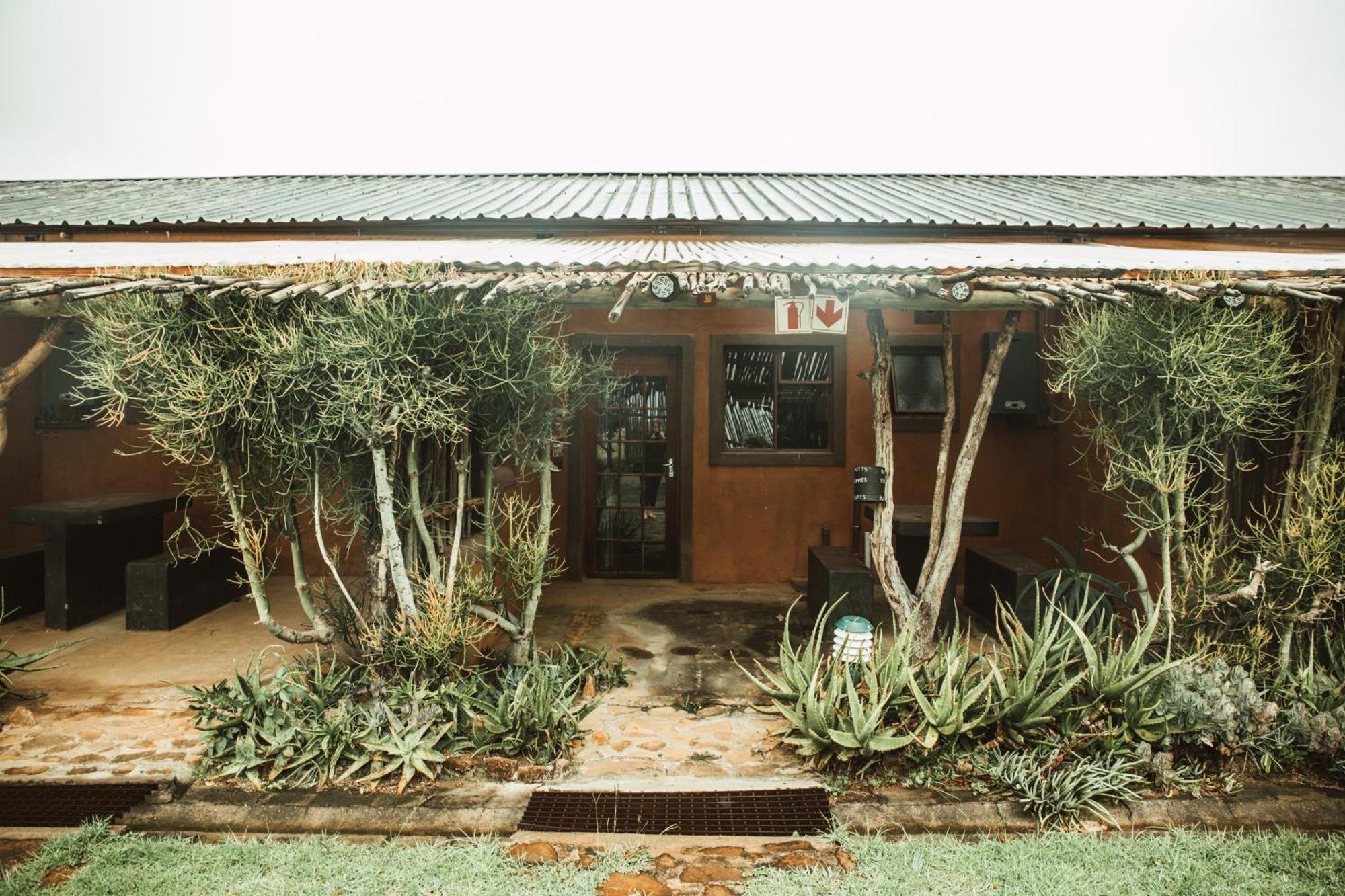 Amphitheatre Backpackers Lodge Ethels Drive Esterno foto