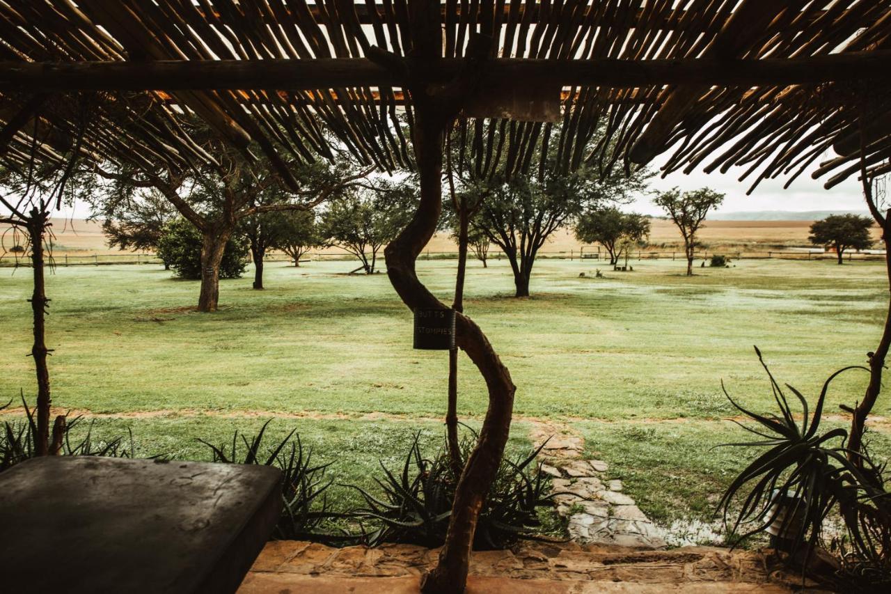 Amphitheatre Backpackers Lodge Ethels Drive Esterno foto